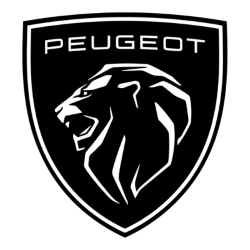 PEUGEOT TURBO